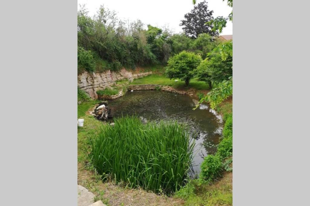 Studio Au Bord De L'Etang Laives エクステリア 写真