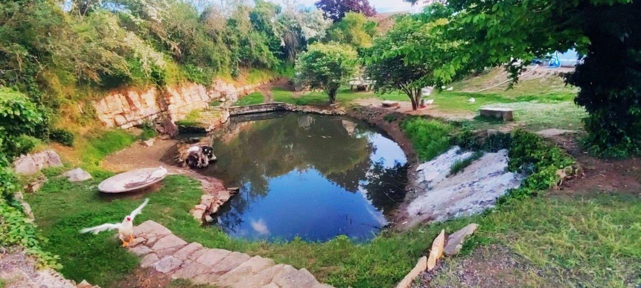 Studio Au Bord De L'Etang Laives エクステリア 写真