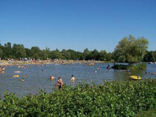 Studio Au Bord De L'Etang Laives エクステリア 写真